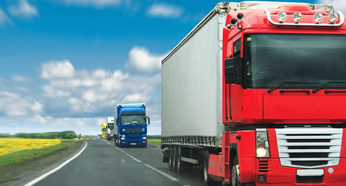 alimann logistics land freight services